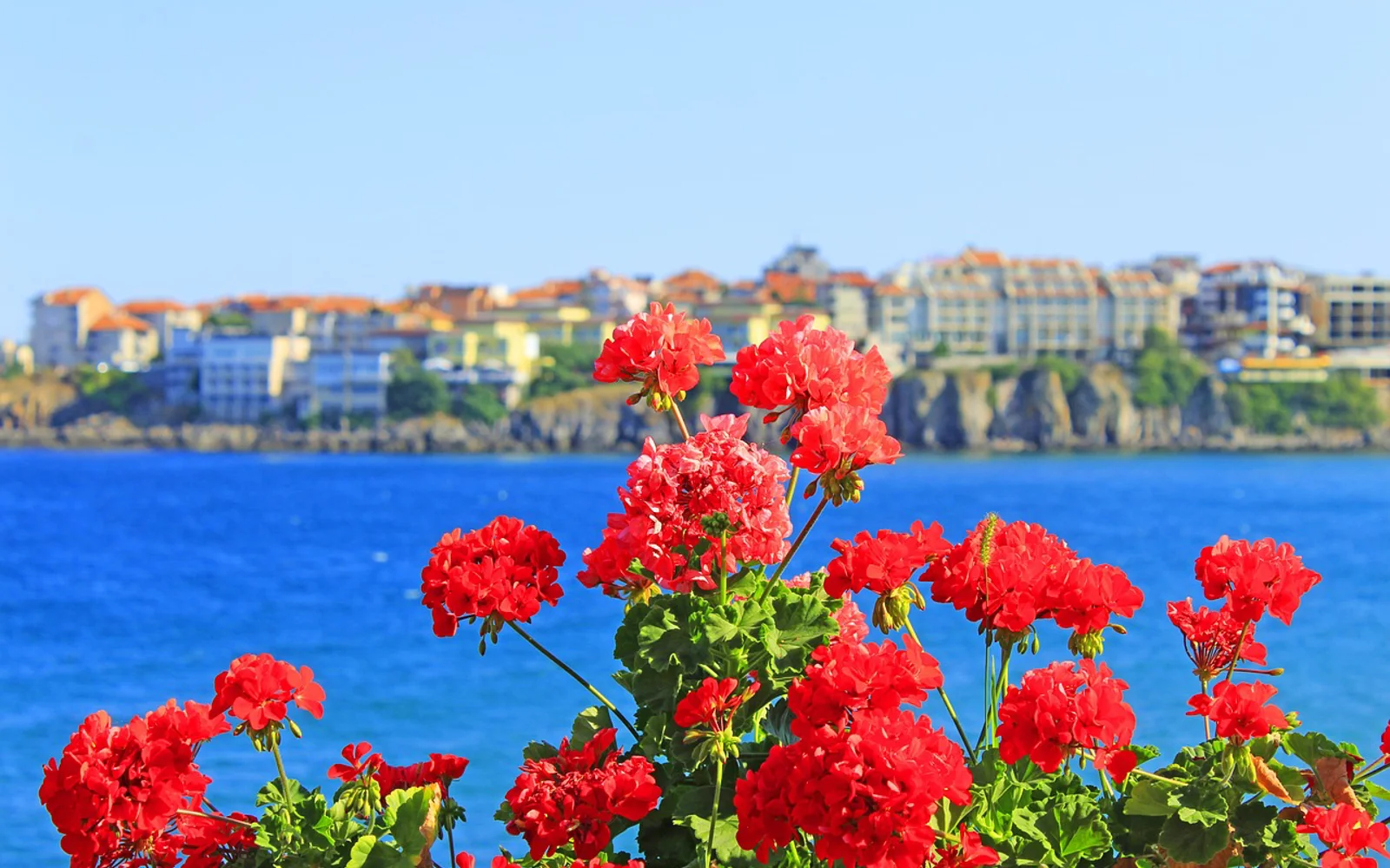 Sozopol i Burgaskysten, Bulgaria