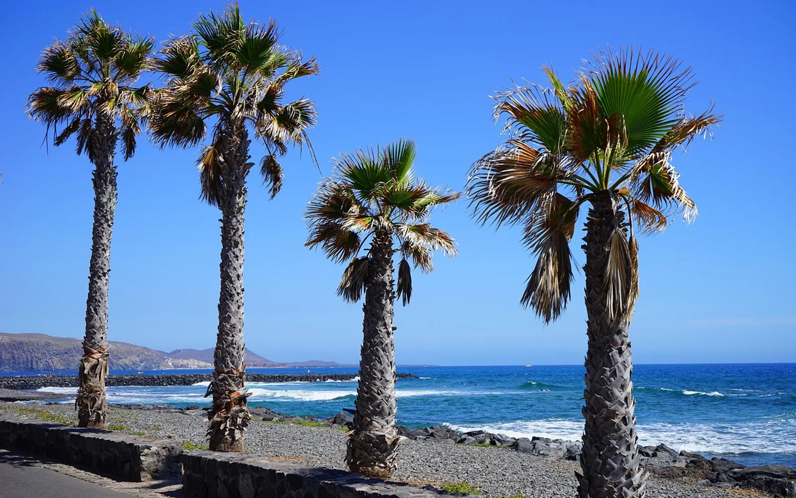 Playa de las Américas i Tenerife, Spain