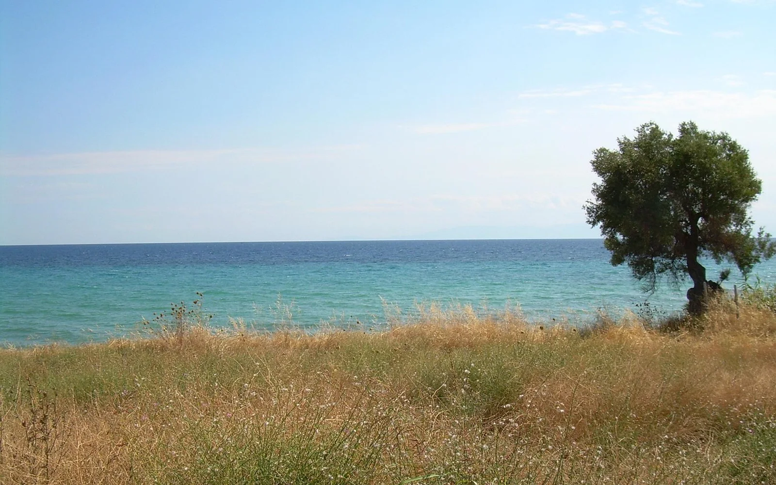 Nea Skioni i Halkidiki, Greece