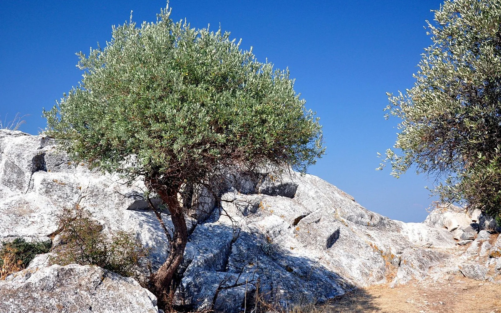 Thassos i Greece