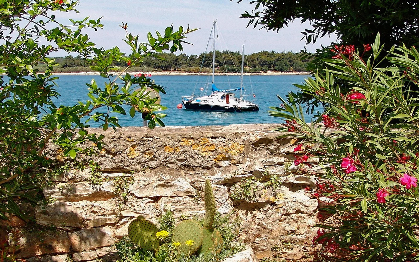 Novigrad i Istrian Peninsula, Croatia