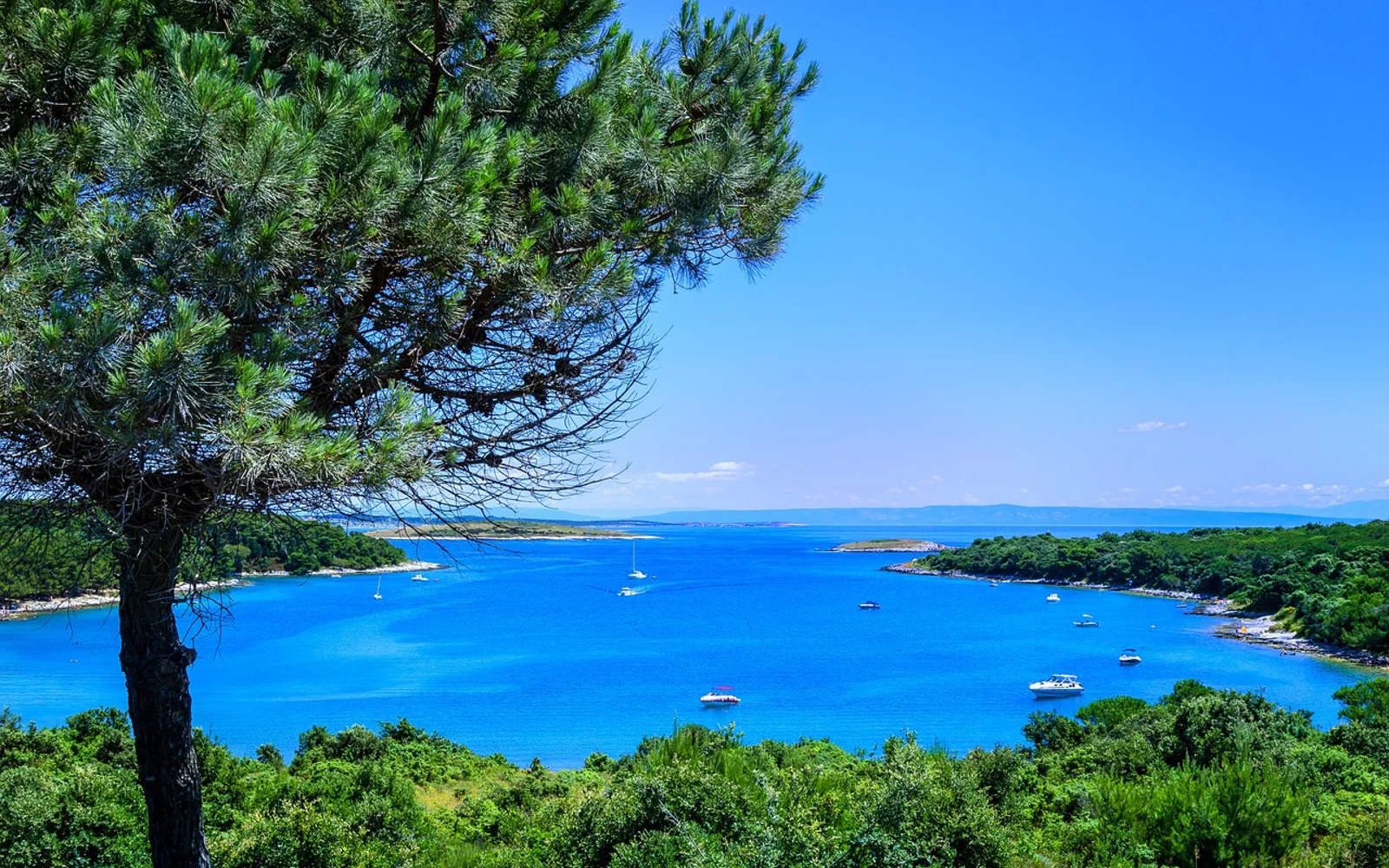 Premantura i Istrian Peninsula, Croatia