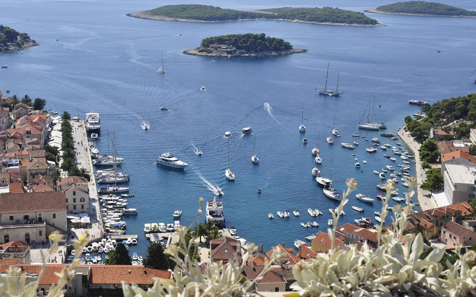 Hvar i Split area, Croatia