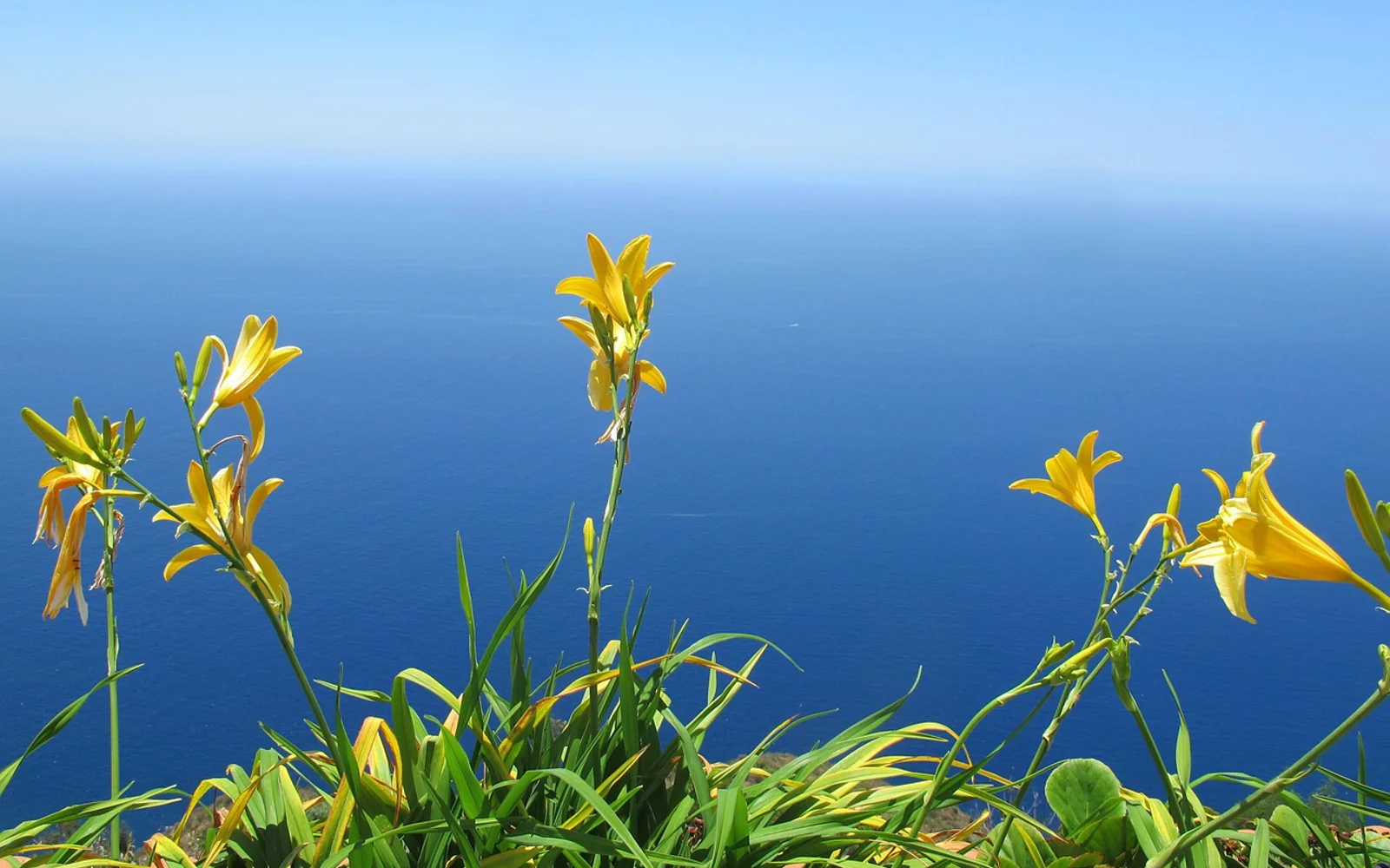 Calheta i Madeira, Portugal